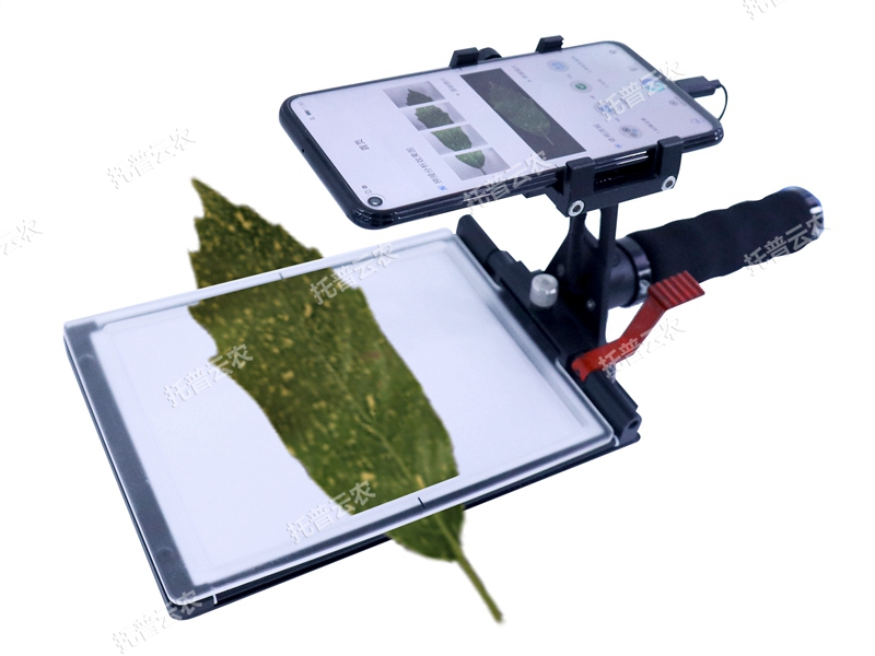 YMJ-D活體葉面積測量儀