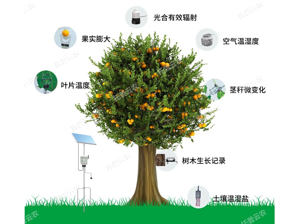 TP-ZWSL系列植物生理生態(tài)監(jiān)測(cè)系統(tǒng)