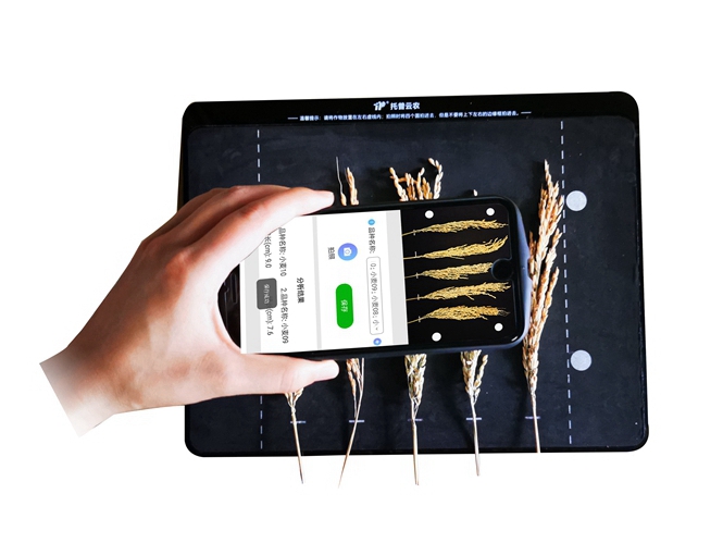 TPDS-X-1稻穗形態測量儀