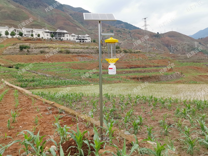 TPSC3-1太陽能殺蟲燈