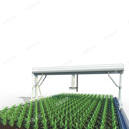 田間軌道式高通量植物表型采集分析平臺 TP-GTL-1-UG
