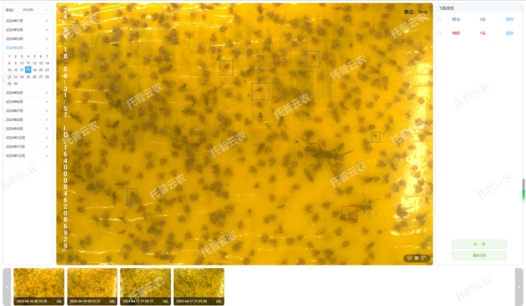 4. 智能識別 自動計數_750.png