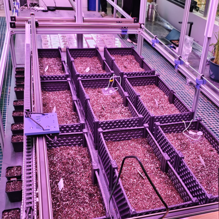 室內種子萌發表型監測系統 TPN-SeedPhy