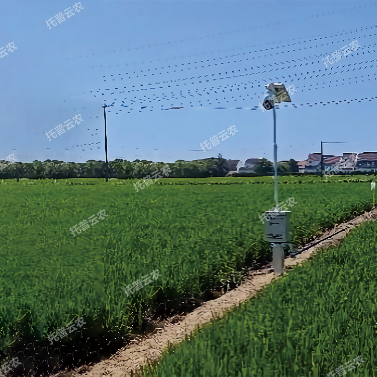 TP-GESB2.0自動趕蛾智能統(tǒng)計桿