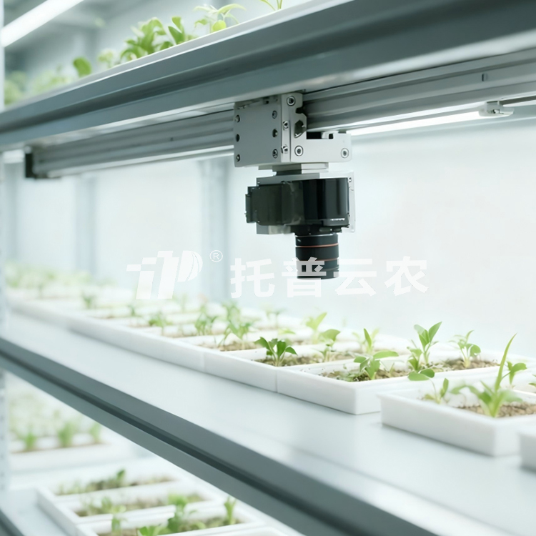 人工氣候室植物表型監測系統TP-PlantPhy